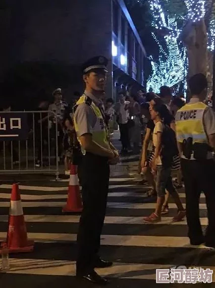 欧美人马交传闻曾与神秘富商深夜密会共进晚餐引发网友热议