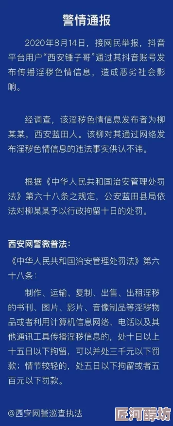 黑白导航色情网站传播淫秽信息已被警方查封