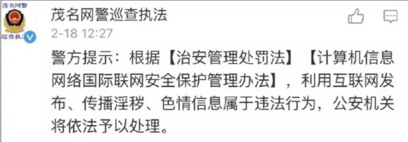 黑白导航色情网站传播淫秽信息已被警方查封