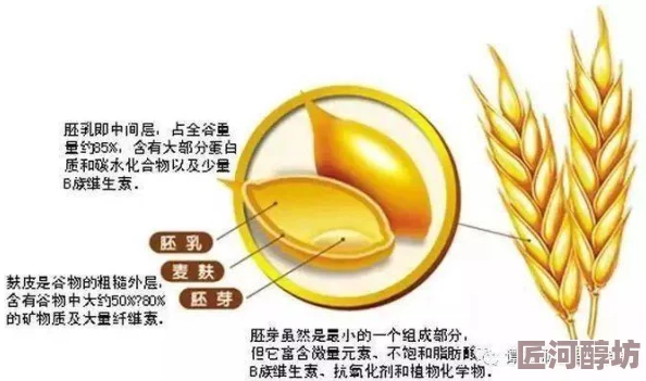 手工星球小麦获取技巧全解析，掌握秘诀轻松收获！更有惊喜新作物即将上线