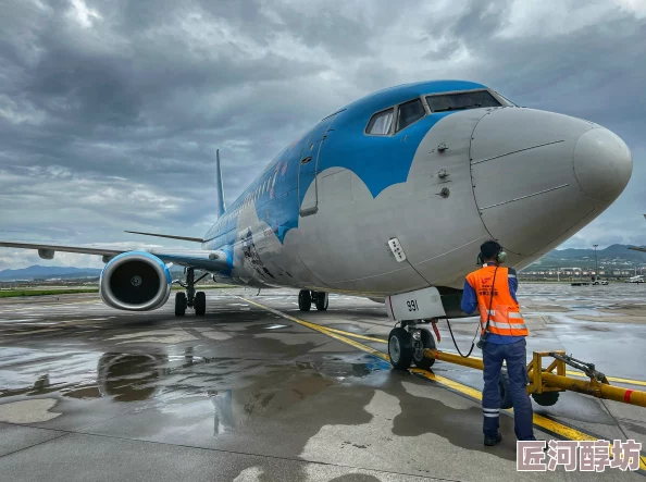 航空2满天星疑现安全隐患引发旅客担忧