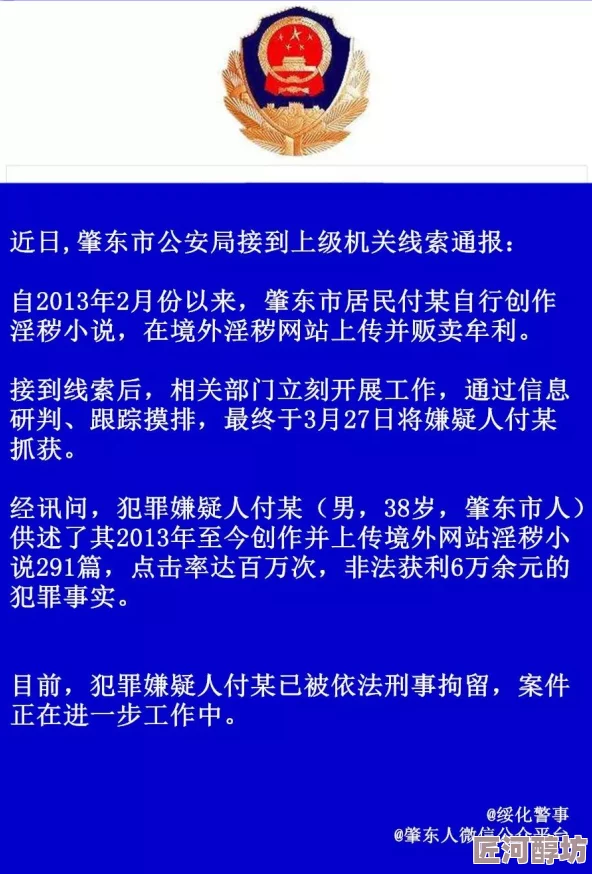 黄网十三区传播非法色情内容已被警方查封