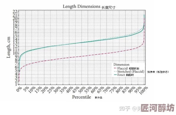 男人的一般有多长是标准2023年研究数据表明勃起状态平均长度为13-18厘米