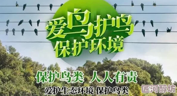 大陆一级毛片展现了人与自然和谐共生的美好画面呼吁保护生态环境