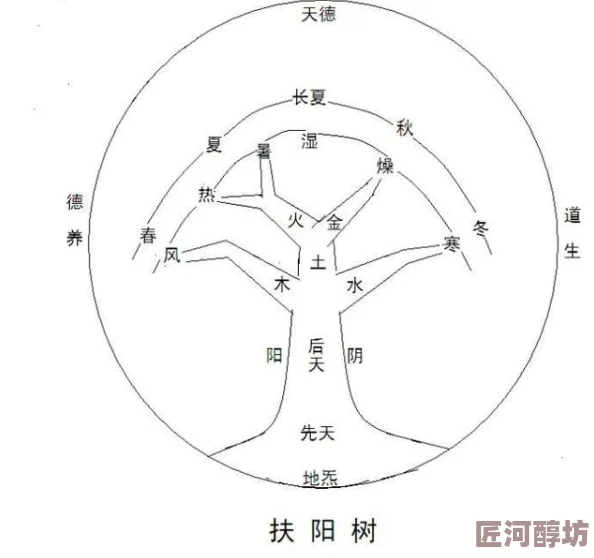 洪荒之先天茶树探寻混沌初开孕育而生的先天灵根的奥秘与传说