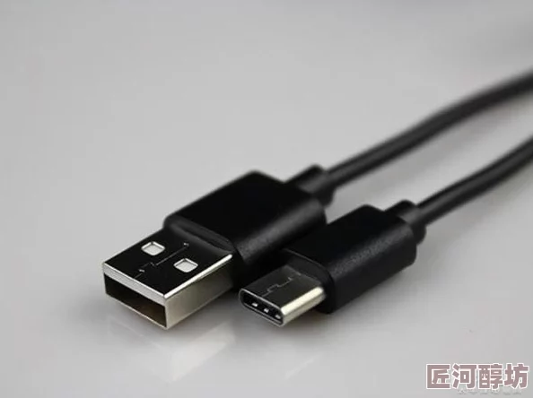 综合伊人因其功能强大实用工具多效率提升快而广受欢迎