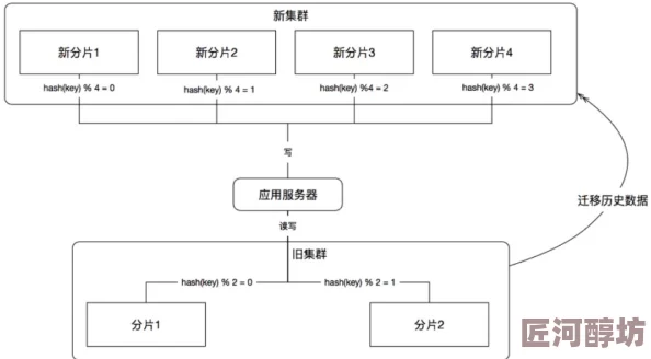 深入探索：燕云十六声中药品的制作流程与使用技巧详解