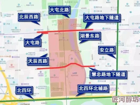 探索《文明6》中哪个世界地图带来全新游戏体验